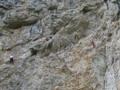 Tura montana din Piatra Craiului - la catarare in prapastile Zarnestiului